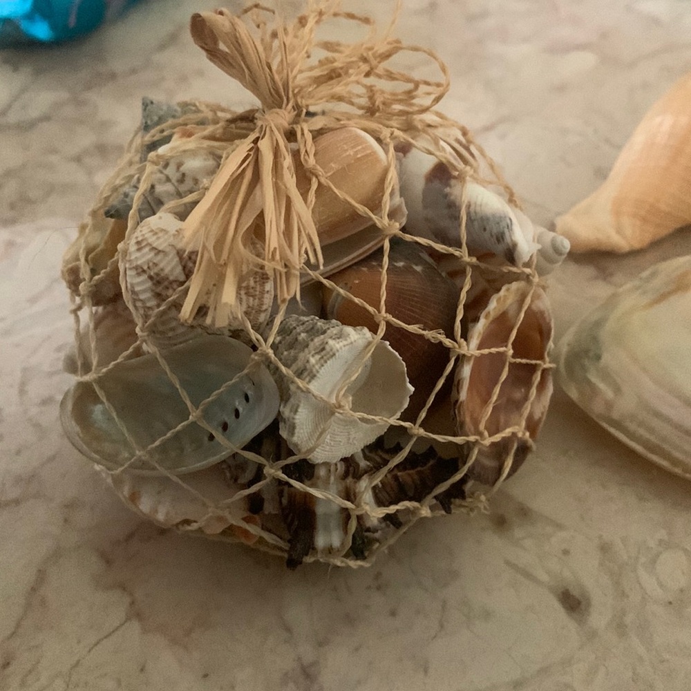 Decorative beach shells
